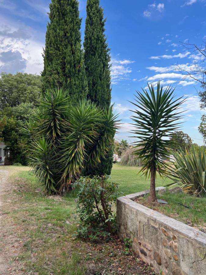 Alpilles Camargue Mas Falabrego Raphele Exterior photo